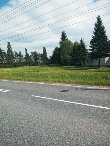 Działka rolno-budowlana Toszek, Wielowiejska. Zdjęcie 1