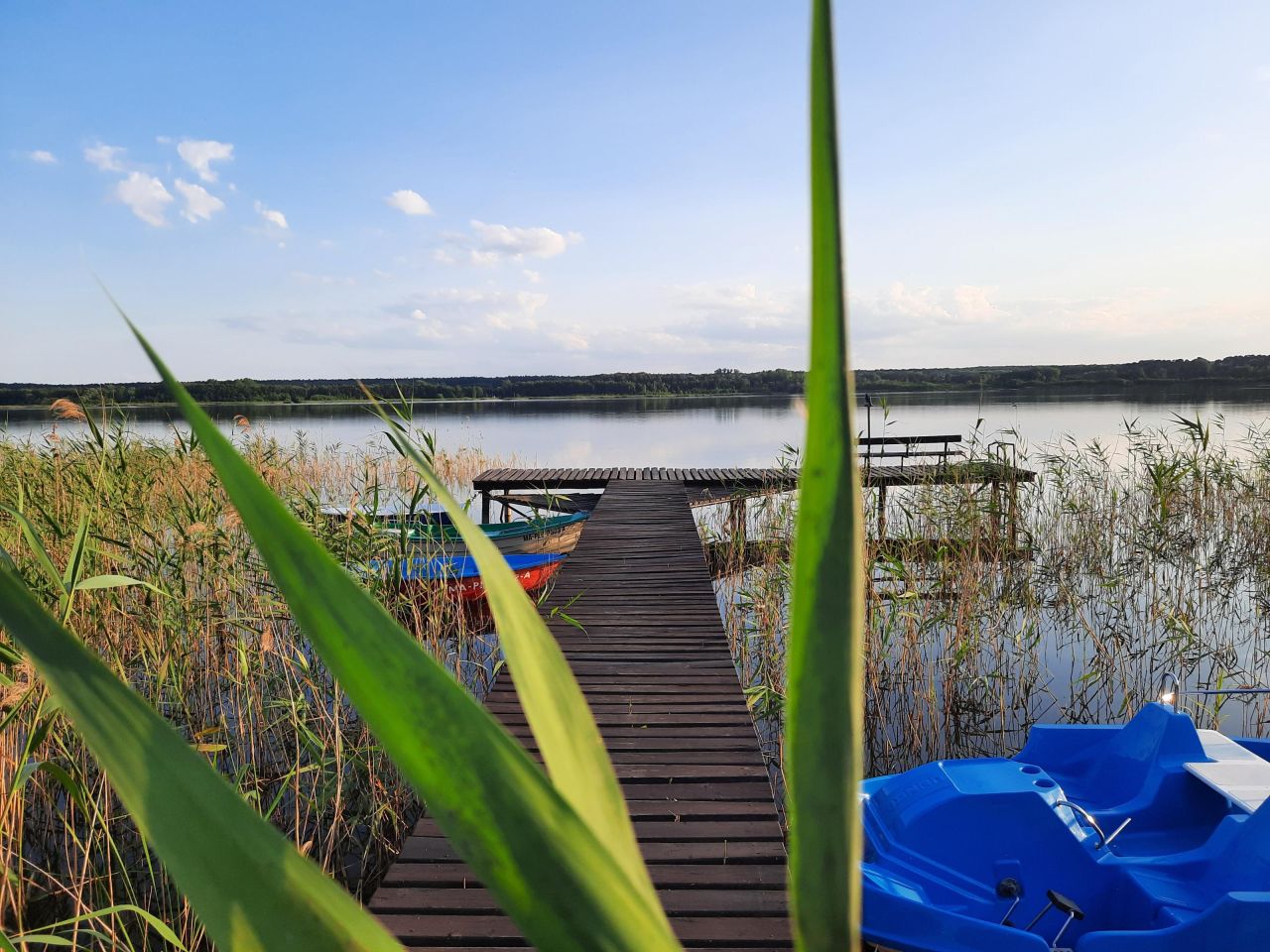 Działka rekreacyjna Matyldów. Zdjęcie 9