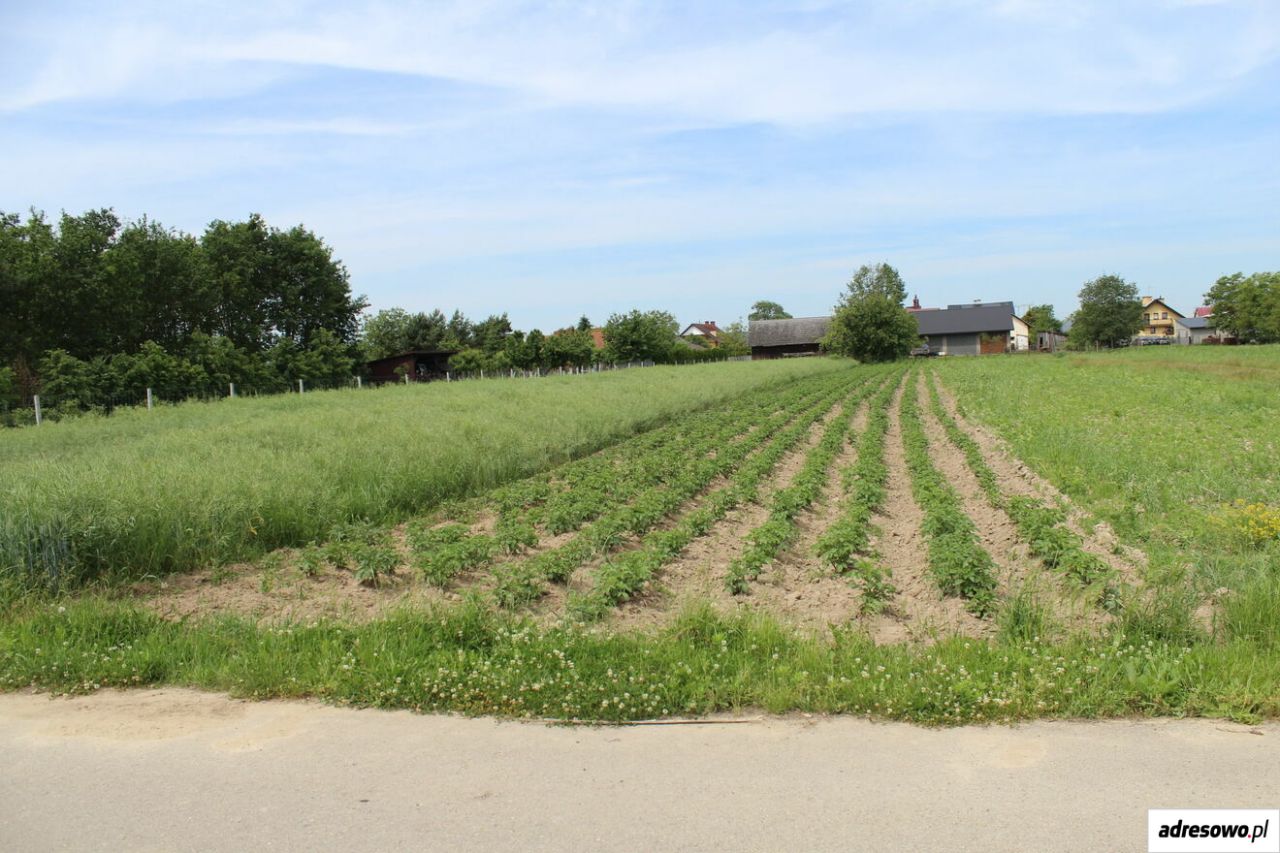 dom wolnostojący, 3 pokoje Leżachów. Zdjęcie 11