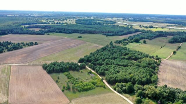 Działka rolna Osetno. Zdjęcie 5