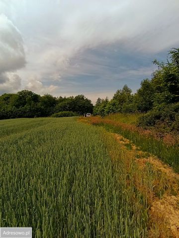 Działka budowlana Gwizd. Zdjęcie 1
