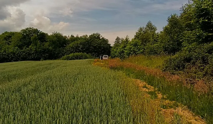 Działka budowlana Gwizd