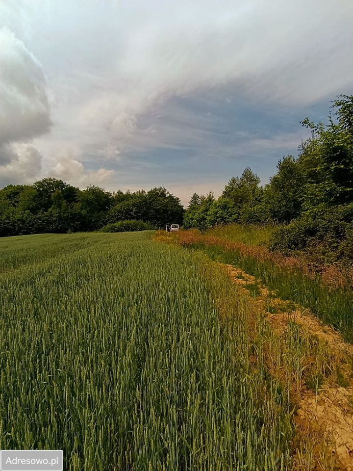 Działka budowlana Gwizd. Zdjęcie 1