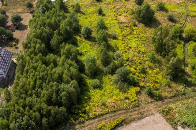 Działka inwestycyjna Feliksów, ul. Zajęcza. Zdjęcie 4