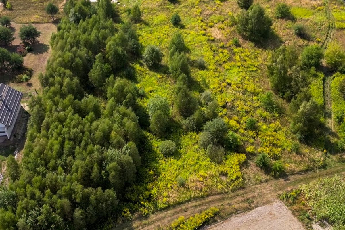 Działka inwestycyjna Feliksów, ul. Zajęcza. Zdjęcie 4