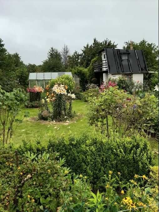 Działka rod Słupsk, al. 3 Maja. Zdjęcie 1