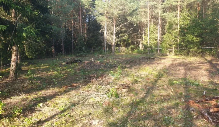 Działka rolna Wesołowo