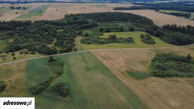 Działka rolno-budowlana Wilcze. Zdjęcie 1