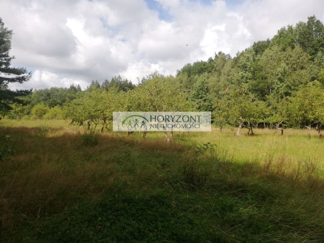 Działka inwestycyjna Babidół. Zdjęcie 18