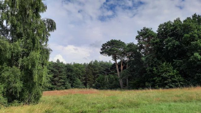 Działka budowlana Izbica. Zdjęcie 8