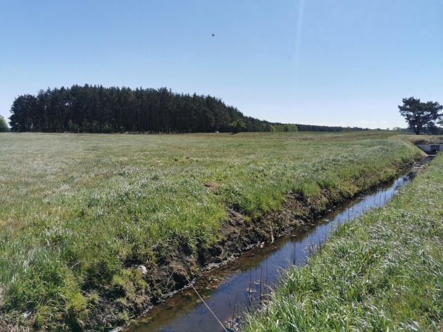 Działka rolna Święta. Zdjęcie 7