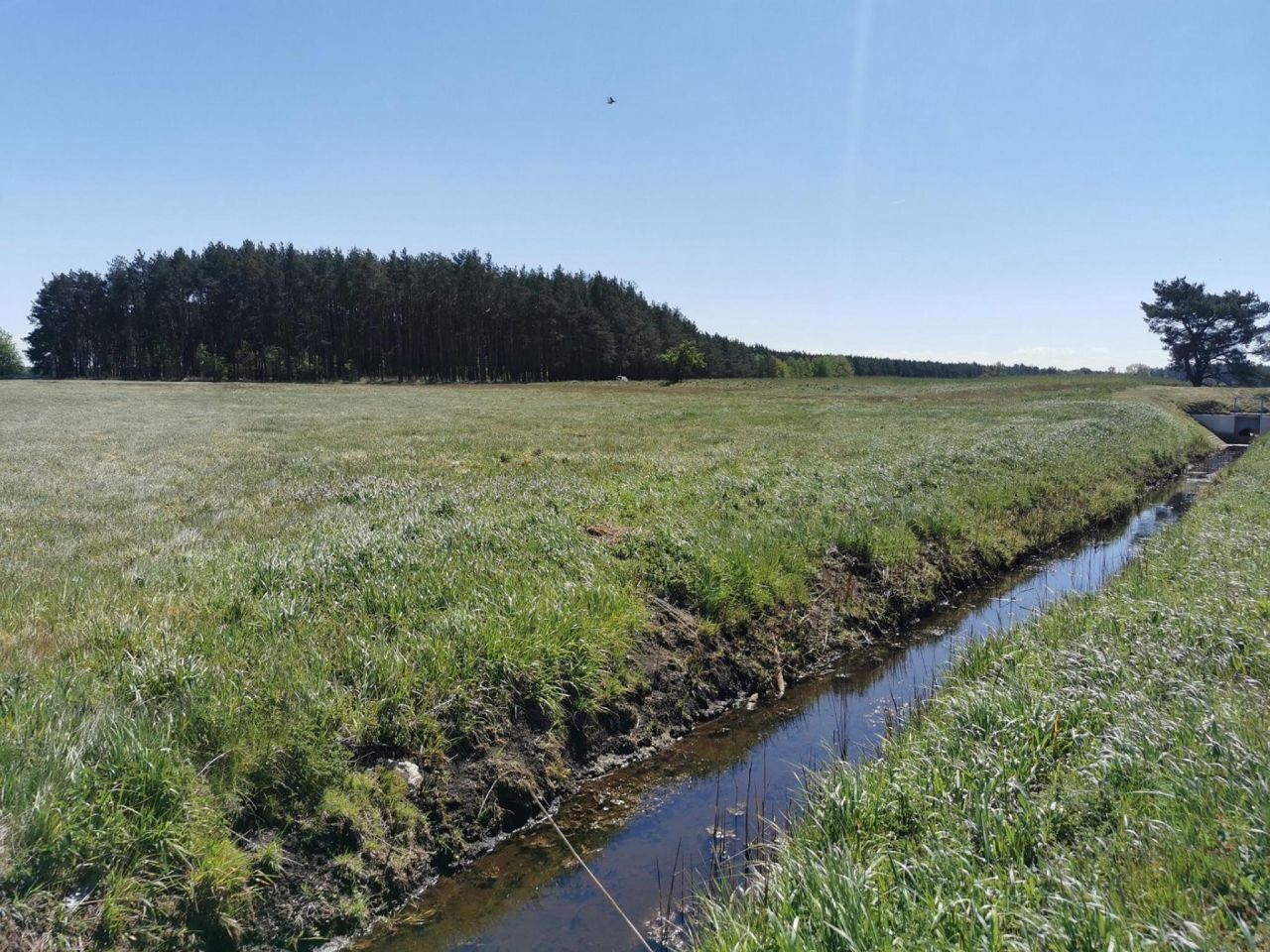 Działka rolna Święta. Zdjęcie 7