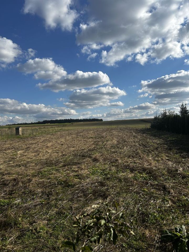 Działka budowlana Bychawka Trzecia. Zdjęcie 4