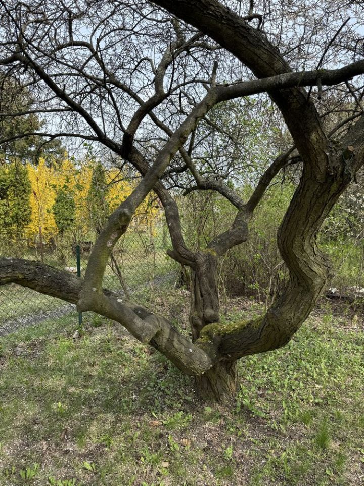 Działka rod Warszawa Wilanów. Zdjęcie 4