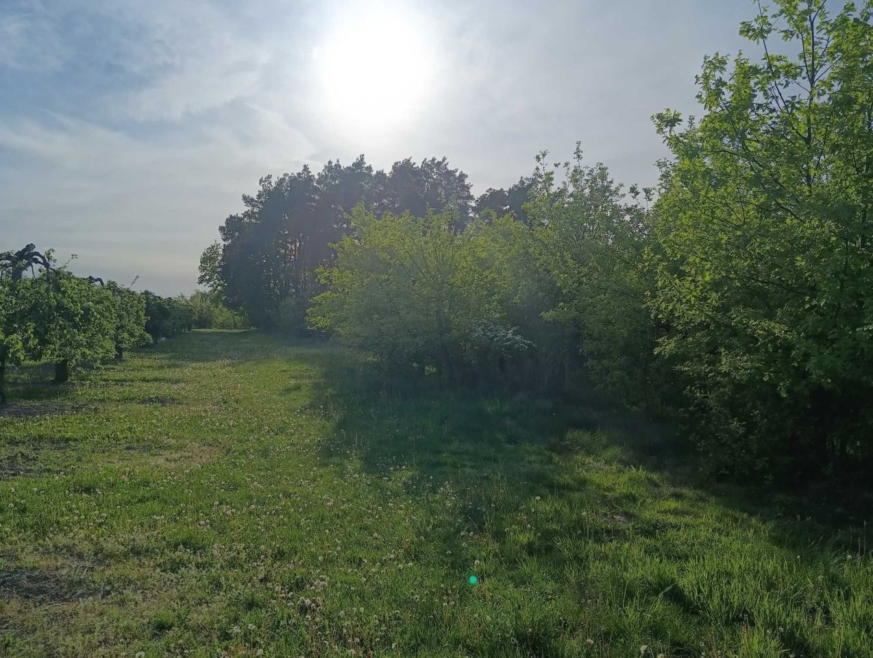 Działka rolna Wola Krobowska. Zdjęcie 6