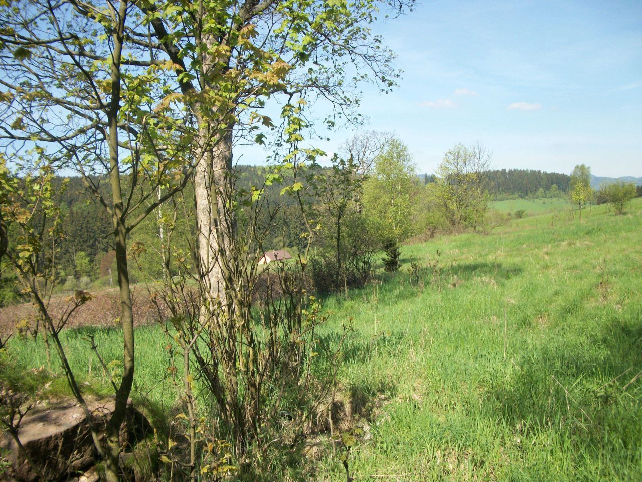 Działka budowlana Bartnica Wyrębina. Zdjęcie 5