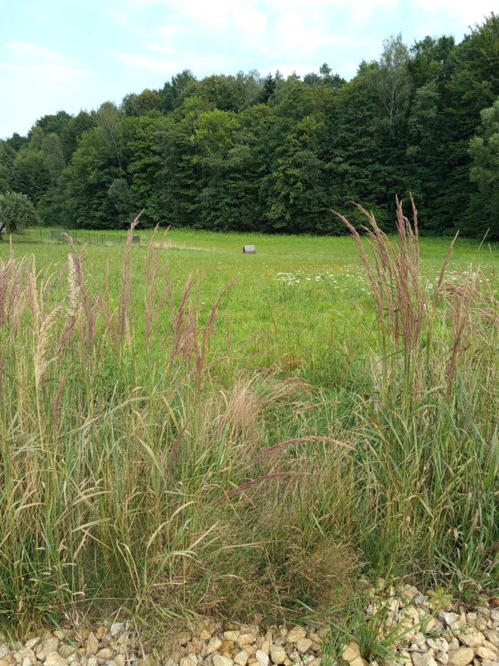 Działka budowlana Pisarzowice. Zdjęcie 8