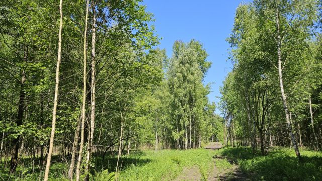 Działka rekreacyjna Naruszewo. Zdjęcie 1