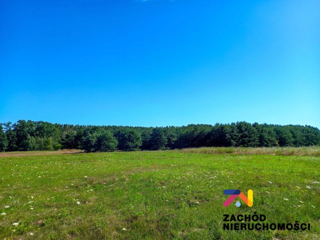 Działka inwestycyjna Droszków. Zdjęcie 1