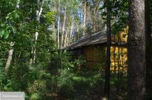 Działka leśna Rogoźnica. Zdjęcie 4