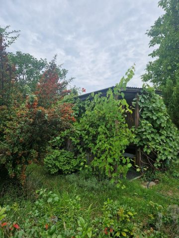 Działka rod Zielona Góra Jędrzychów. Zdjęcie 1