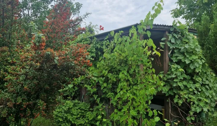 Działka rod Zielona Góra Jędrzychów