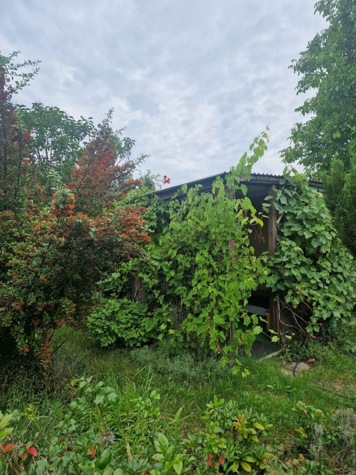 Działka rod Zielona Góra Jędrzychów