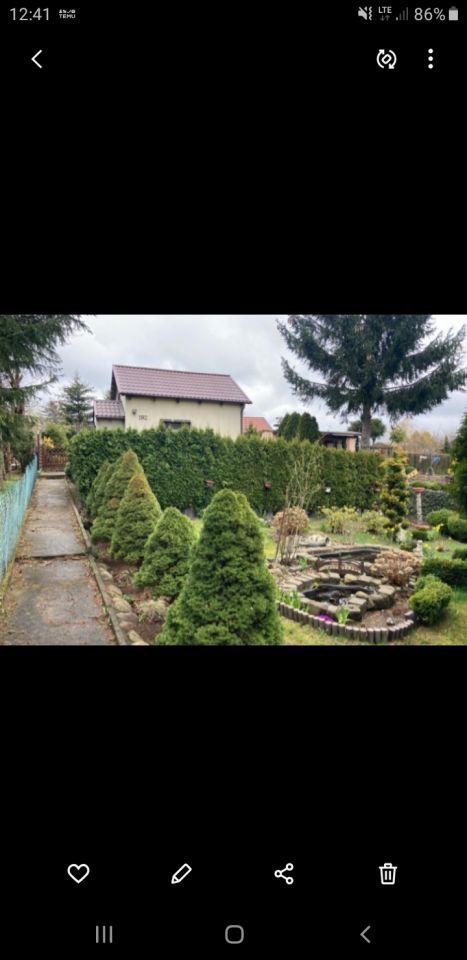 Działka rod Gdańsk Jasień, Gronostajowa 7. Zdjęcie 1