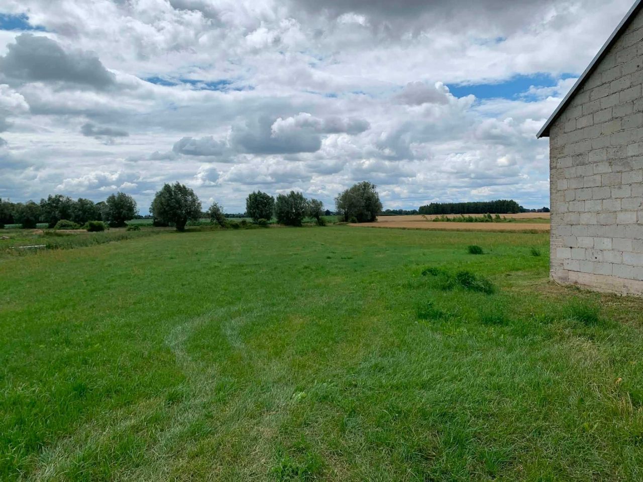 Działka rolna Milewo. Zdjęcie 8