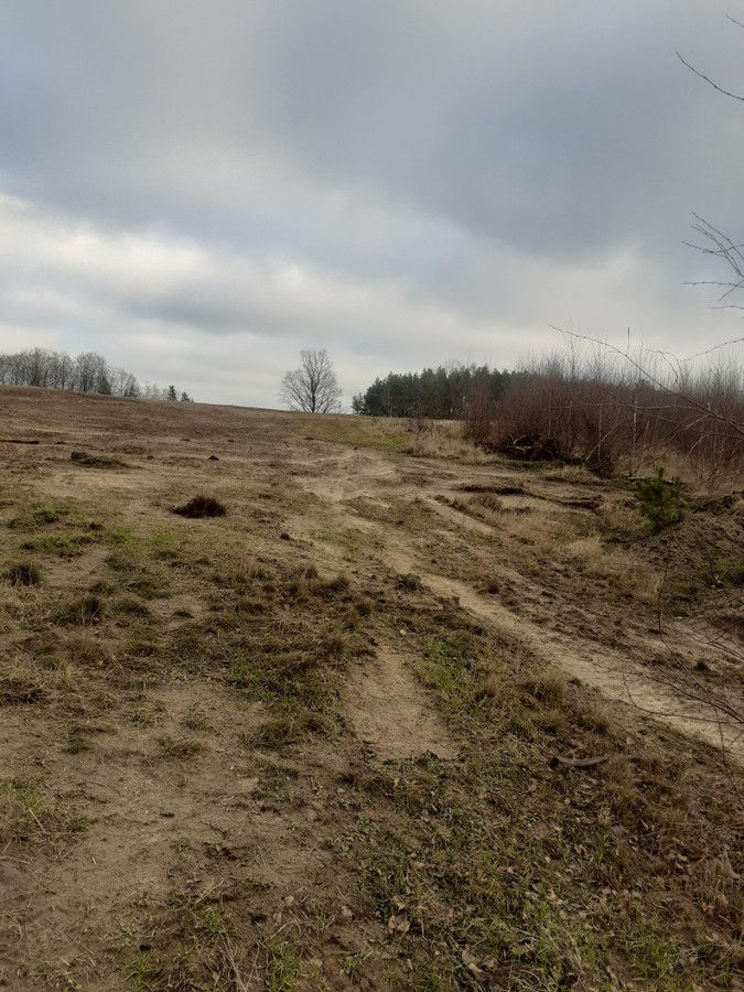 Działka budowlana Donimierz, ul. Górki. Zdjęcie 2