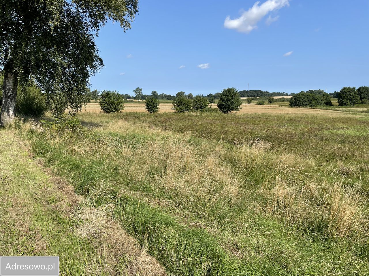 Działka budowlana Gosław. Zdjęcie 3