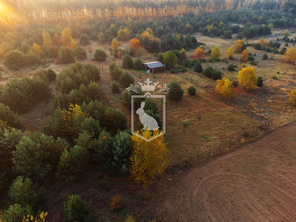 Działka budowlana Gnojno. Zdjęcie 5