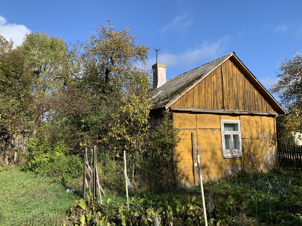 Działka budowlana Lipa. Zdjęcie 6