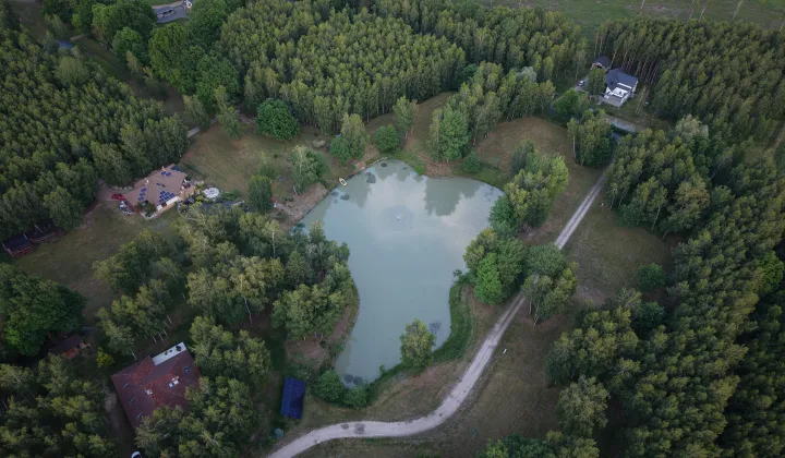 Działka budowlana Sadek, ul. Jesionowa