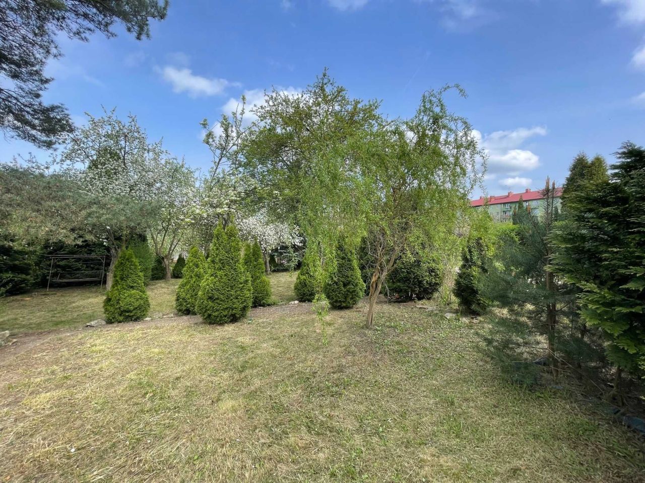 Działka rod Będzin Małobądz. Zdjęcie 5