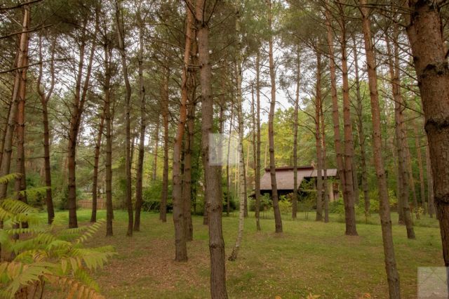 Działka rekreacyjna Radawa. Zdjęcie 1