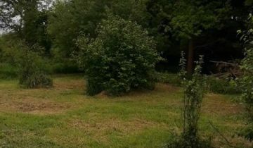 Działka rolna Krosno Białobrzegi