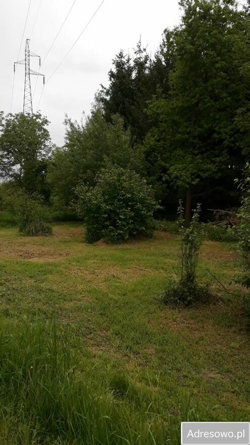 Działka rolna Krosno Białobrzegi. Zdjęcie 2