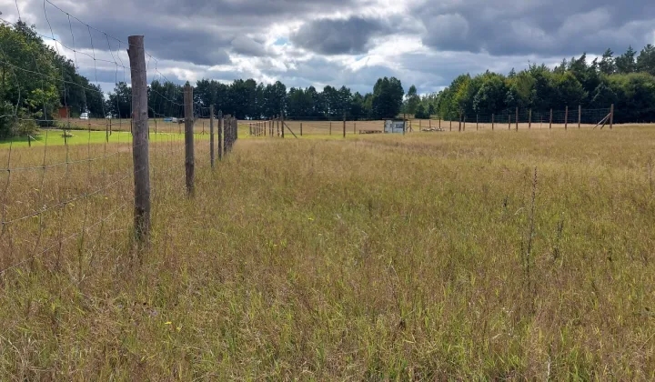 Działka budowlana Pieski