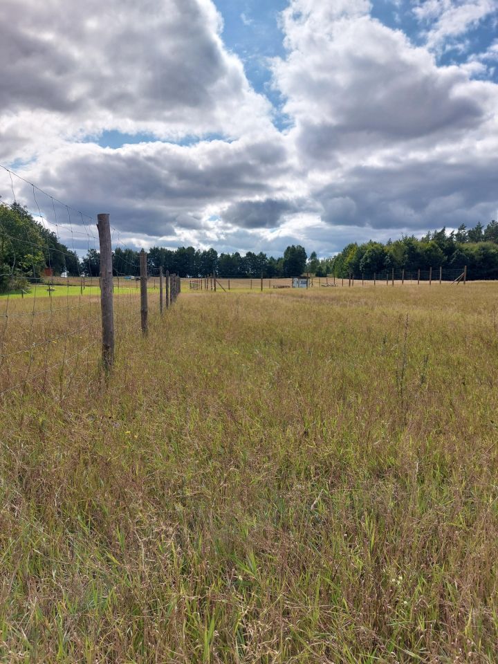 Działka budowlana Pieski