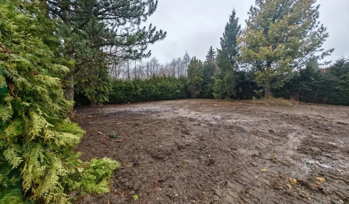 Działka budowlana Jaworze Jaworze Górne, ul. Zawilcowa