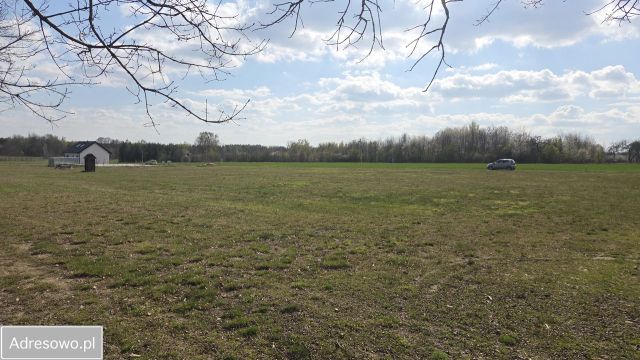 Działka siedliskowa Kaleń-Towarzystwo, ul. Śliwkowa. Zdjęcie 1