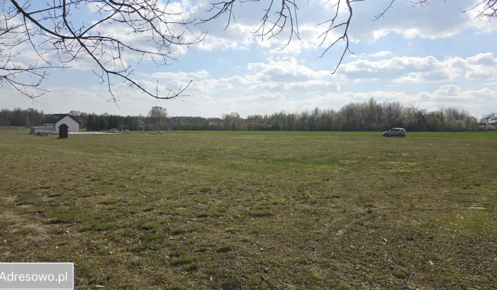 Działka siedliskowa Kaleń-Towarzystwo, ul. Śliwkowa