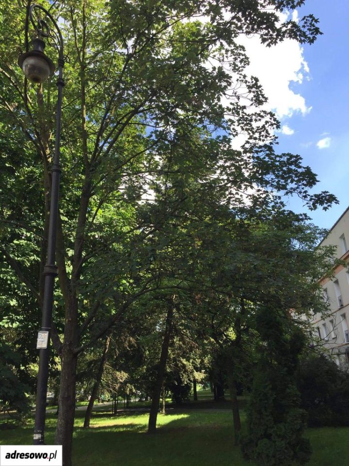 Mieszkanie 1-pokojowe Warszawa Żoliborz, ul. Śmiała. Zdjęcie 7