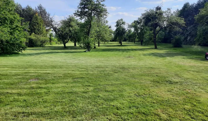 dom wolnostojący Ruda