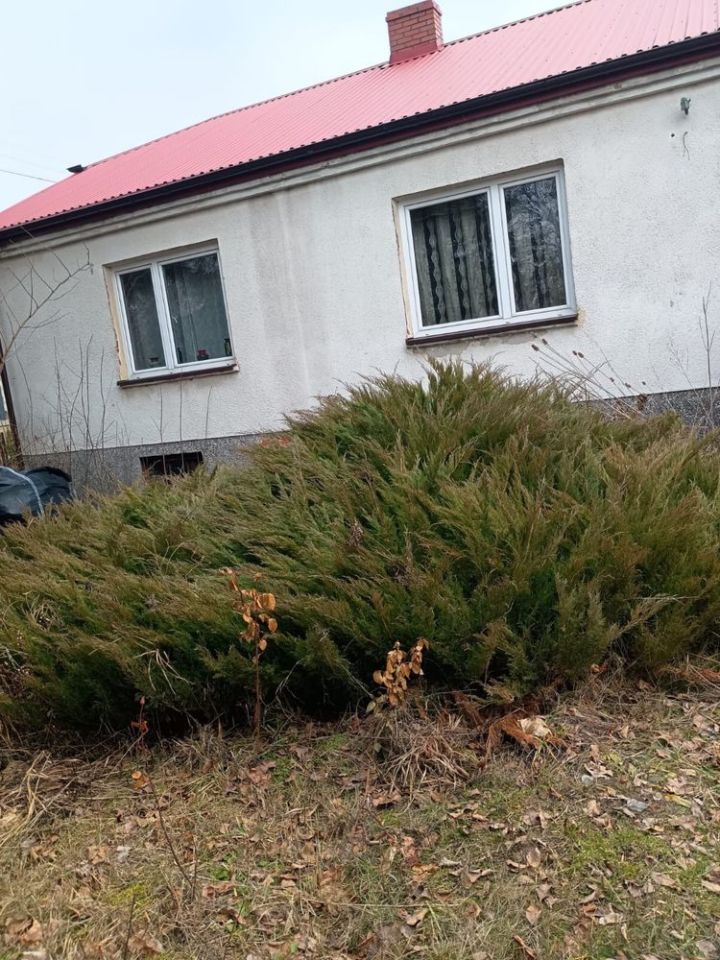 dom wolnostojący Adelina. Zdjęcie 3