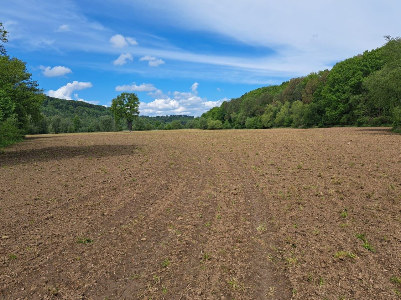 Działka rolna Marczów. Zdjęcie 1