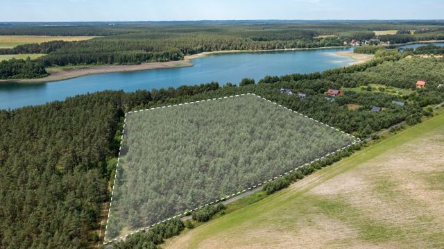 Działka inwestycyjna Koczała, Dymin. Zdjęcie 3