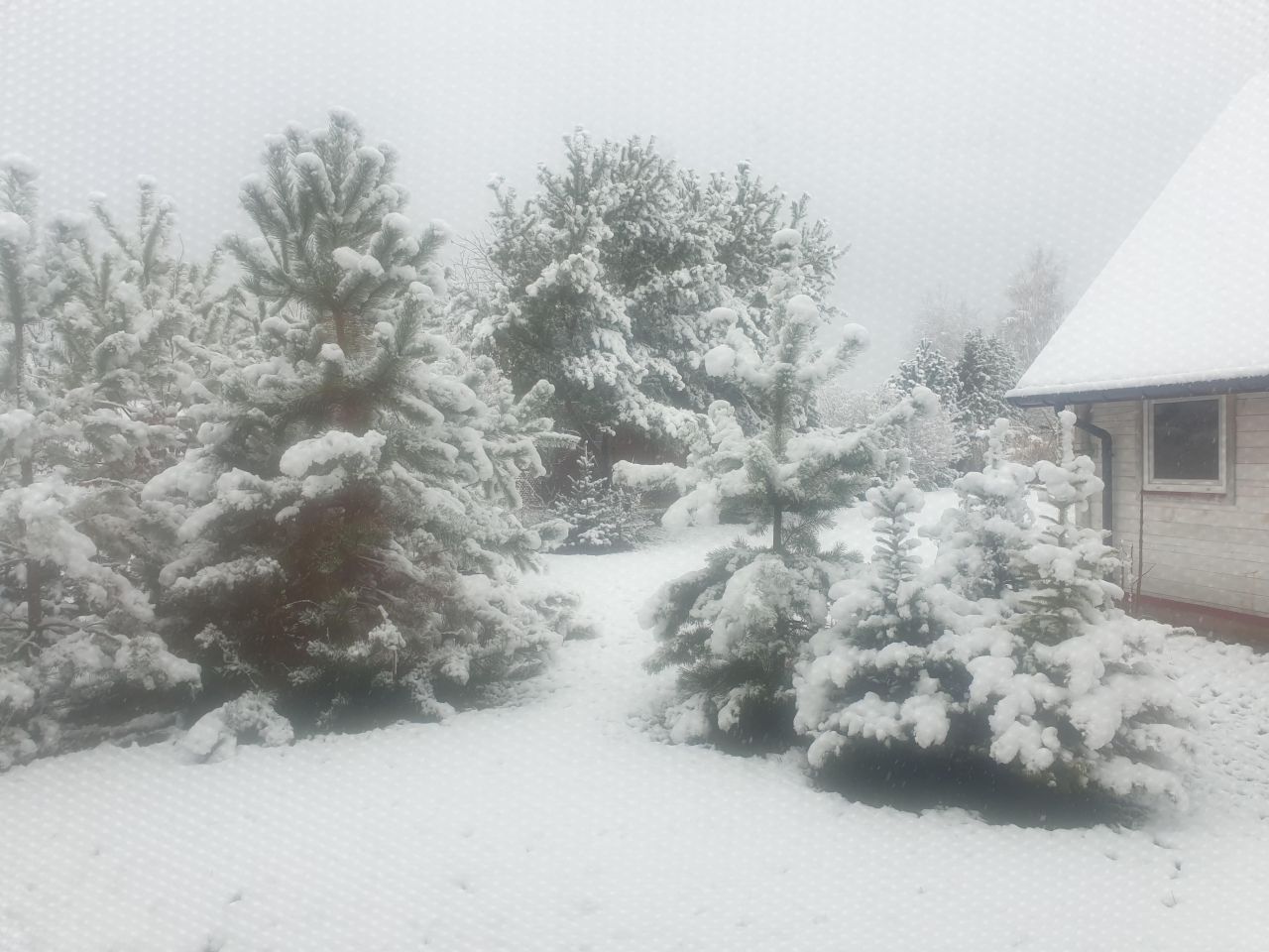 Działka budowlana Wytyczno Kochanowskie. Zdjęcie 6