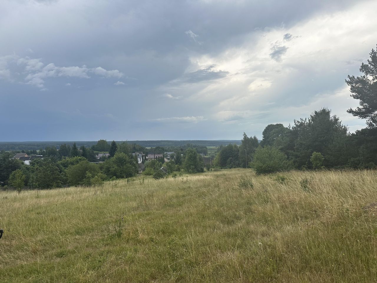 Działka rolno-budowlana Studzianki, ul. Polonijna
